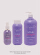 Kit Lila Silvestre